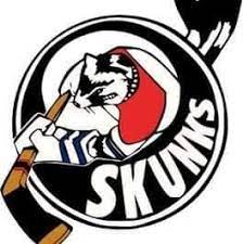 partner-logo-sg monheim skunks